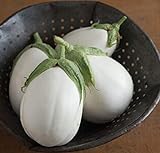 David's Garden Seeds Eggplant Paloma (White) 25 Non-GMO, Hybrid Seeds Photo, bestseller 2024-2023 new, best price $3.45 review