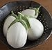 Photo David's Garden Seeds Eggplant Paloma (White) 25 Non-GMO, Hybrid Seeds new bestseller 2024-2023