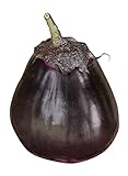 Burpee Meatball Eggplant Seeds 35 seeds Photo, bestseller 2024-2023 new, best price $9.61 review