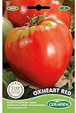 Germisem Oxheart Red Semillas de Tomate 2 g Foto, éxito de ventas 2024-2023 nuevo, mejor precio 2,21 € revisión