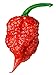 Photo Carolina Reaper Seeds - 400 Carolina Reaper Seeds for Planting - Hottest Pepper Seeds - Hottest Chili Pepper in The World - Organic, Non - GMO Carolina Reaper Plant Seeds new bestseller 2024-2023