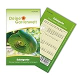 Freilandsalatgurke Chinese Slangen Samen - Cucumis sativus - Gurkesamen - Gemüsesamen - Saatgut für 10 Pflanzen Foto, Bestseller 2024-2023 neu, bester Preis 1,99 € (0,20 € / stück) Rezension