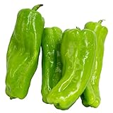 Cubanelle Pepper Sweet Pepper Seeds , 100+ Heirloom Seeds Per Packet, (Isla's Garden Seeds), Non GMO Seeds, Botanical Name: Capsicum annuum Photo, bestseller 2024-2023 new, best price $6.99 ($0.07 / 100) review