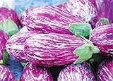 200 Pcs Eggplant Seeds Striped Long Heirloom Vegetable Seed Photo, bestseller 2024-2023 new, best price $7.90 ($0.04 / Count) review