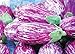 Photo 200 Pcs Eggplant Seeds Striped Long Heirloom Vegetable Seed new bestseller 2024-2023