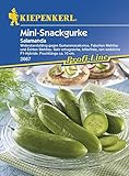 Gurkensamen - Salatgurke Salamanda von Kiepenkerl Foto, Bestseller 2024-2023 neu, bester Preis 3,95 € Rezension