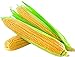 Photo David's Garden Seeds Corn Super Sweet GSS1170 (Yellow) 100 Non-GMO, Hybrid Seeds new bestseller 2024-2023