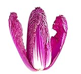 30 Red Chinese Cabbage Seeds - Edible Chinese Cabbage is a Superfood - Ships from Iowa, USA Photo, bestseller 2024-2023 new, best price $8.98 ($0.30 / Count) review