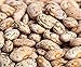 Photo Pinto Beans Seeds, the Most Common Bean in the US 100 Seeds Heirloom ! new bestseller 2024-2023