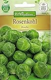 Chrestensen Rosenkohl 'Rosella' mittelfrühe Sorte Foto, Bestseller 2024-2023 neu, bester Preis 1,89 € Rezension