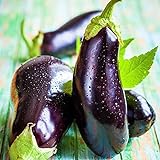 Eggplant Seed, Black Beauty, Heirloom, Non GMO, 50 Seeds, Vegetable Photo, bestseller 2024-2023 new, best price $2.29 ($0.05 / Count) review