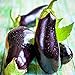 Photo Eggplant Seed, Black Beauty, Heirloom, Non GMO, 50 Seeds, Vegetable new bestseller 2024-2023