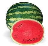 Crimson Sweet Heirloom Watermelon Seeds Photo, bestseller 2024-2023 new, best price $8.99 ($0.15 / Count) review
