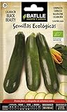 Bio Samen - Zucchini Black Beauty (24-32 Samen - Bio) Foto, Bestseller 2024-2023 neu, bester Preis 4,83 € (24,15 € / kg) Rezension