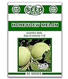 Honeydew Melon Seeds - 50 Seeds Non-GMO Photo, bestseller 2024-2023 new, best price  review