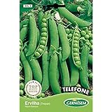 Germisem Telephone Semillas de Guisantes 100 g Foto, éxito de ventas 2024-2023 nuevo, mejor precio 3,43 € revisión