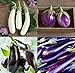 Photo David's Garden Seeds Collection Set Eggplant 4432 (Multi) 4 Varieties 200 Non-GMO, Open Pollinated Seeds new bestseller 2024-2023