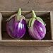Photo David's Garden Seeds Eggplant Rosa Bianca 2244 (Purple) 50 Non-GMO, Heirloom Seeds new bestseller 2024-2023