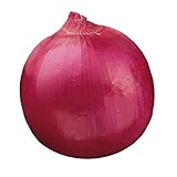 Burpee Red Creole Onion Seeds 300 seeds Photo, bestseller 2024-2023 new, best price $6.56 review