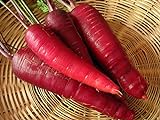 200+ Carrot Seeds- Cosmic Purple Photo, bestseller 2024-2023 new, best price $4.39 review