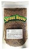 The Sprout House Certified Organic Non-GMO Sprouting Seeds Radish Mix Daikon Radish, and/or Triton Radish (Purple Stems/Green Leaves) and/or China Red Radish 1 Pound Photo, bestseller 2024-2023 new, best price $16.05 ($1.00 / Ounce) review