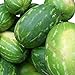 Foto Rießen Wassermelone 10 Korn (Rar) >>>Fruchtgewicht von 12 bis 16 kg<<< neu Bestseller 2024-2023