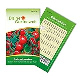 Balkontomaten Balkonzauber Samen - Solanum lycopersicum - Balkontomatensamen - Gemüsesamen - Saatgut für 15 Pflanzen Foto, Bestseller 2024-2023 neu, bester Preis 1,99 € (0,13 € / stück) Rezension