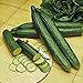Photo Cucumber, Long Green Improved Seeds, Non-GMO, 25 Seeds per Package,Long Green Improved Cucumber is a Strong, Vigorous Producer . Jacobs Ladder Ent. new bestseller 2024-2023