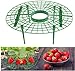 Photo JJZJ 5 Pack Strawberry Supports with 4 Sturdy Legs for Keeping Plant Clean and Not Rot in Rainy Days new bestseller 2024-2023