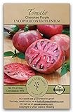 Gaea's Blessing Seeds - Tomato Seeds - Cherokee Purple Slicing Tomato - Non-GMO Seeds with Easy to Follow Planting Instructions - Open-Pollinated 96% Germination Rate Photo, bestseller 2024-2023 new, best price $6.99 review