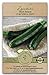 Photo Gaea's Blessing Seeds - Zucchini Seeds - Non-GMO - with Easy to Follow Planting Instructions - Heirloom Black Beauty Summer Squash 97% Germination Rate new bestseller 2024-2023