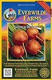 Everwilde Farms - 100 Golden Detriot Beet Seeds - Gold Vault Jumbo Seed Packet Photo, bestseller 2024-2023 new, best price $2.98 review