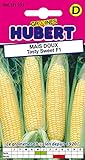 Graines de Maïs doux Tasty Sweet F1 - 3 grammes Photo, best-seller 2024-2023 nouveau, meilleur prix 4,65 € examen