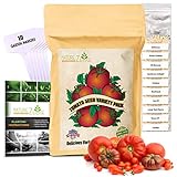 NatureZ Edge Heirloom Tomato Seeds for Planting Home Garden - 10 Heirloom Tomatoes Variety Pack and 10 Garden Markers - Non GMO Heirloom Tomatoes Seeds - Beefsteak, Jubilee, Cherry, Roma, and More Photo, bestseller 2024-2023 new, best price $13.97 review