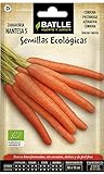 Semillas Ecológicas Hortícolas - Zanahoria Nantesa 5 - ECO - Batlle Foto, éxito de ventas 2024-2023 nuevo, mejor precio 1,76 € revisión