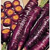 Purple Dragon Carrots Seeds (25+ Seeds)(More Heirloom, Organic, Non GMO, Vegetable, Fruit, Herb, Flower Garden Seeds (25+ Seeds) at Seed King Express) Photo, bestseller 2024-2023 new, best price $4.69 review