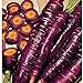 Photo Purple Dragon Carrots Seeds (25+ Seeds)(More Heirloom, Organic, Non GMO, Vegetable, Fruit, Herb, Flower Garden Seeds (25+ Seeds) at Seed King Express) new bestseller 2024-2023