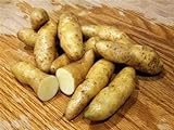 MITRAEE 100 Banana Fingerling Potato Vegetable Seeds Photo, bestseller 2024-2023 new, best price $9.50 review