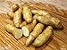 Photo MITRAEE 100 Banana Fingerling Potato Vegetable Seeds new bestseller 2024-2023