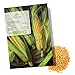 Foto BIO Zuckermais Samen (Golden Bantam, 30 Korn) - Mais Saatgut aus biologischem Anbau ideal für die Anzucht im Garten, Balkon oder Terrasse neu Bestseller 2024-2023