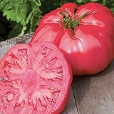 Burpee 'Caspian Pink' Heirloom | Large Pink Beefsteak Slicing Tomato | 30 Seeds Photo, bestseller 2024-2023 new, best price $6.13 ($0.20 / Count) review