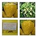 Foto gelbe Erdbeere (alpine yellow) - 50+ Samen - süß ! neu Bestseller 2024-2023
