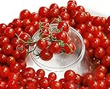 30+ Sweet Pea Currant Tomato Seeds, Heirloom Non-GMO, Extra Sweet and Heavy-Yielding, Low Acid, Indeterminate, Open-Pollinated, Long Season, Super Delicious, from USA Photo, bestseller 2024-2023 new, best price $5.89 review