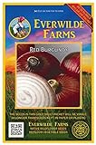 Everwilde Farms - 500 Red Burgundy Onion Seeds - Gold Vault Jumbo Seed Packet Photo, bestseller 2024-2023 new, best price $2.98 review