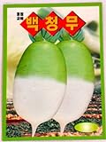 Radish Seeds Korean.2 Pack(4grams-Each) Photo, bestseller 2024-2023 new, best price $5.95 review