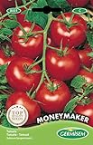 Germisem Moneymacker Semillas de Tomate 1.5 g (EC8021) Foto, éxito de ventas 2024-2023 nuevo, mejor precio 2,21 € revisión