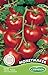 Foto Germisem Moneymacker Semillas de Tomate 1.5 g (EC8021) nuevo éxito de ventas 2024-2023