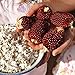 Photo Red Strawberry Popcorn Seeds (25 Seeds) new bestseller 2024-2023