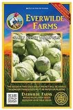 Everwilde Farms - 500 Early Jersey Wakefield Cabbage Seeds - Gold Vault Jumbo Seed Packet Photo, bestseller 2024-2023 new, best price $2.98 review