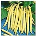 Photo Everwilde Farms - 1/4 Lb Organic Golden Wax Yellow Bean Seeds - Gold Vault new bestseller 2024-2023